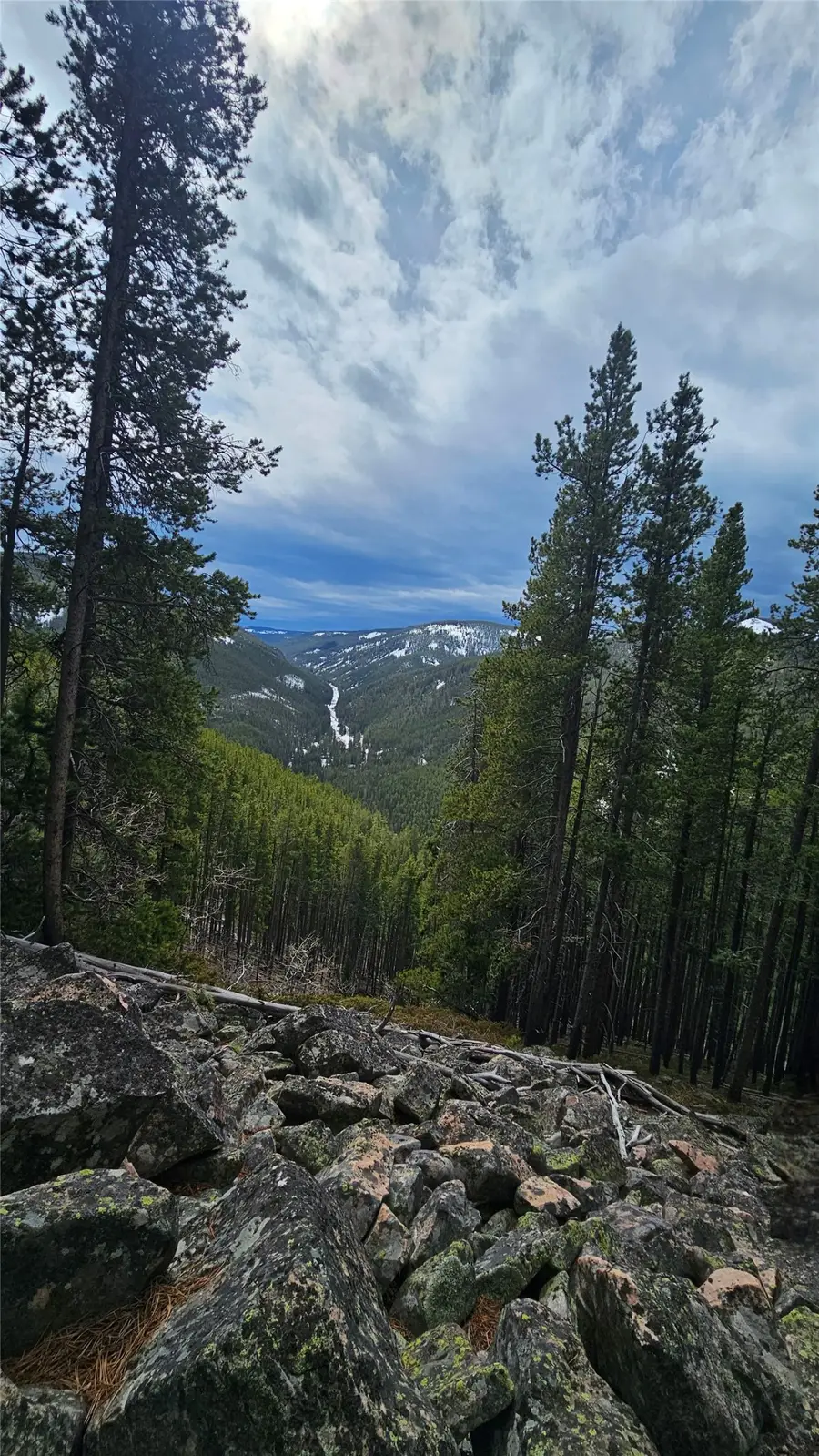 NHN Bonanaz Chief, Neihart, MT 59465 - #2