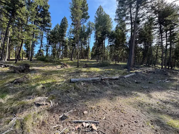 349 Seclusion Point, Seeley Lake, MT 59868