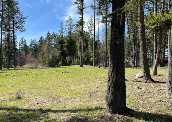 13962 Pine Street, Bigfork, MT 59911 - #1