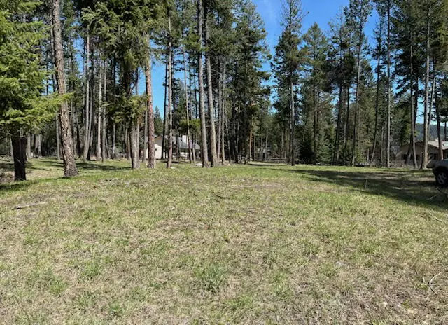 13962 Pine Street, Bigfork, MT 59911 - #3