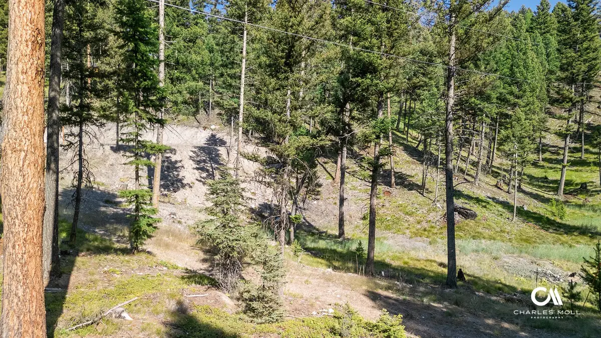 170 Leota Peak Court, Seeley Lake, MT 59868 - #1