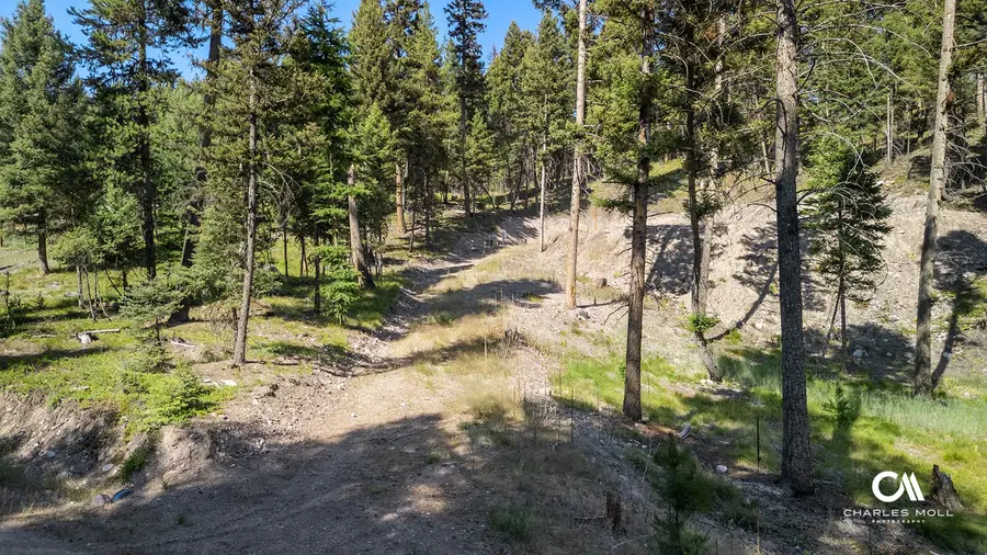170 Leota Peak Court, Seeley Lake, MT 59868 - #2