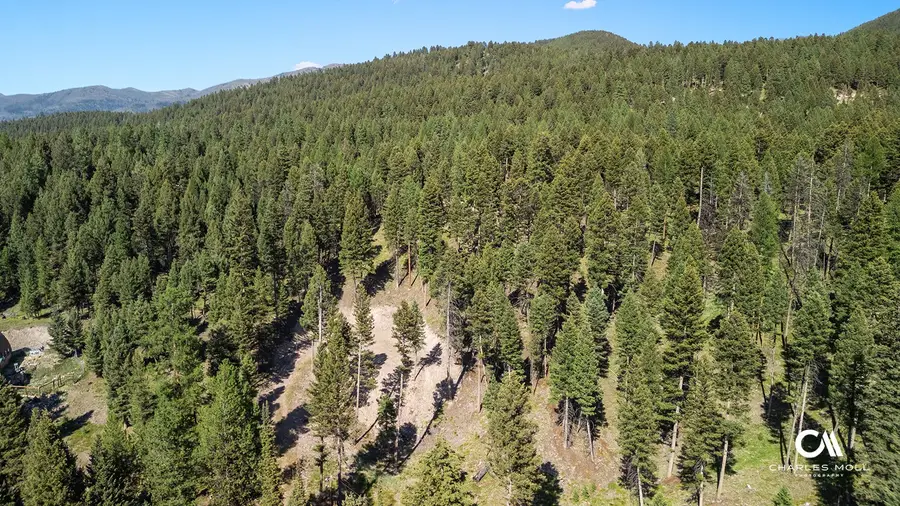 170 Leota Peak Court, Seeley Lake, MT 59868 - #3