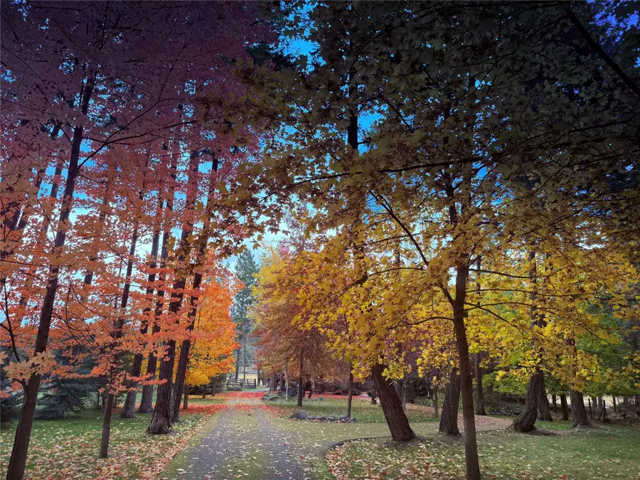 33608 Hilltop Terrace, Bigfork, MT 59911 - #3