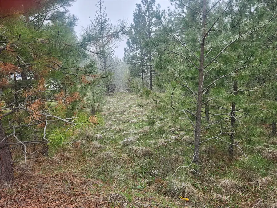 31009 Canyon View Place, Polson, MT 59860 - #2