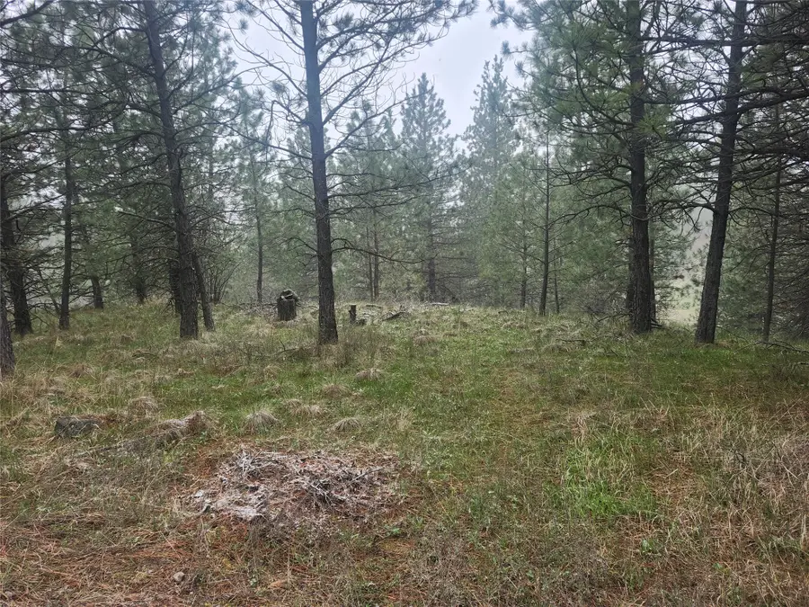 31009 Canyon View Place, Polson, MT 59860 - #3