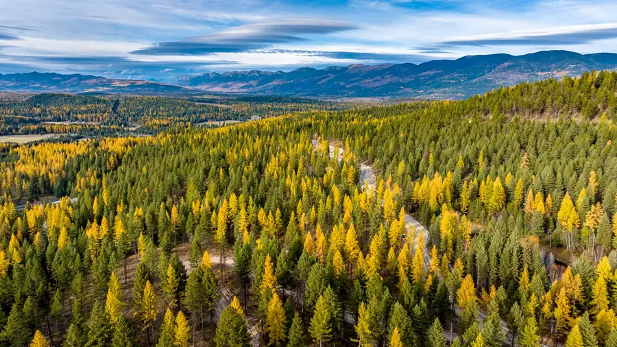 1143 Whitefish Ridge Road, Whitefish, MT 59937 - #2