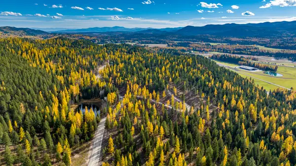 1131 Whitefish Ridge Road, Whitefish, MT 59937