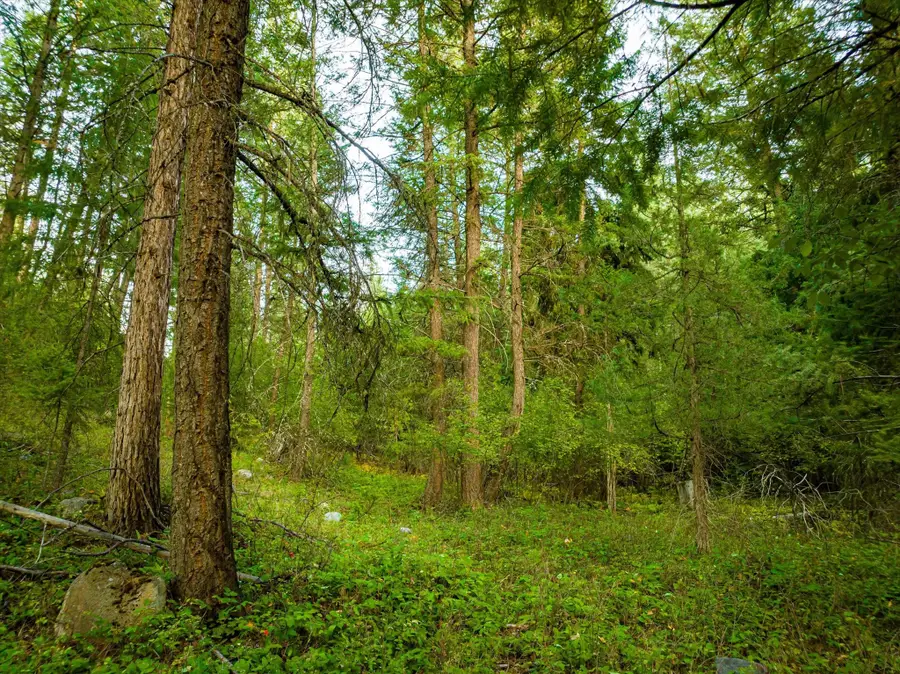 NHN Black Lake Road, Rexford, MT 59930 - #2