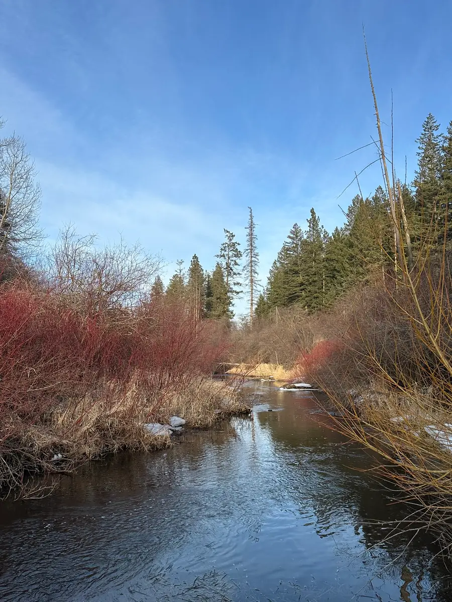 80 Windsong Way, Kalispell, MT 59901 - #3