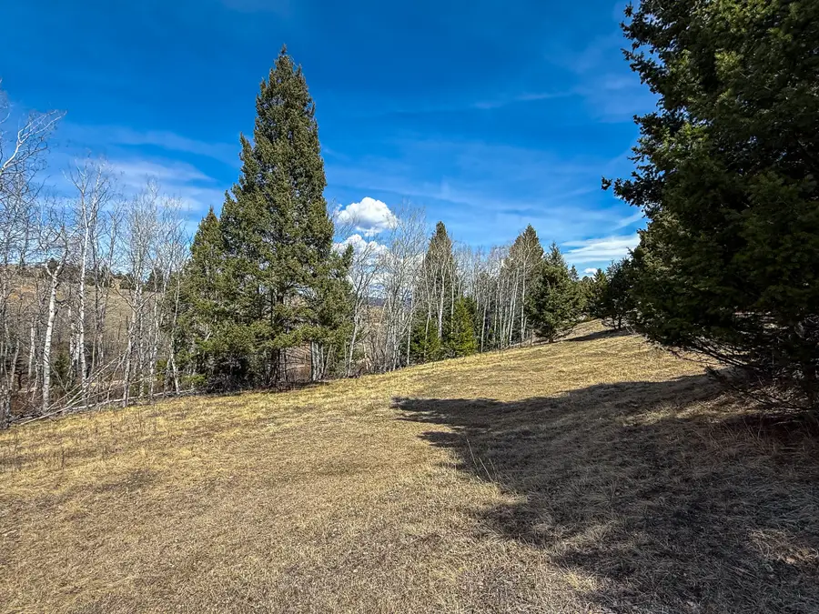 TBD Lone Pine Gulch Road, Ramsay, MT 59748 - #2
