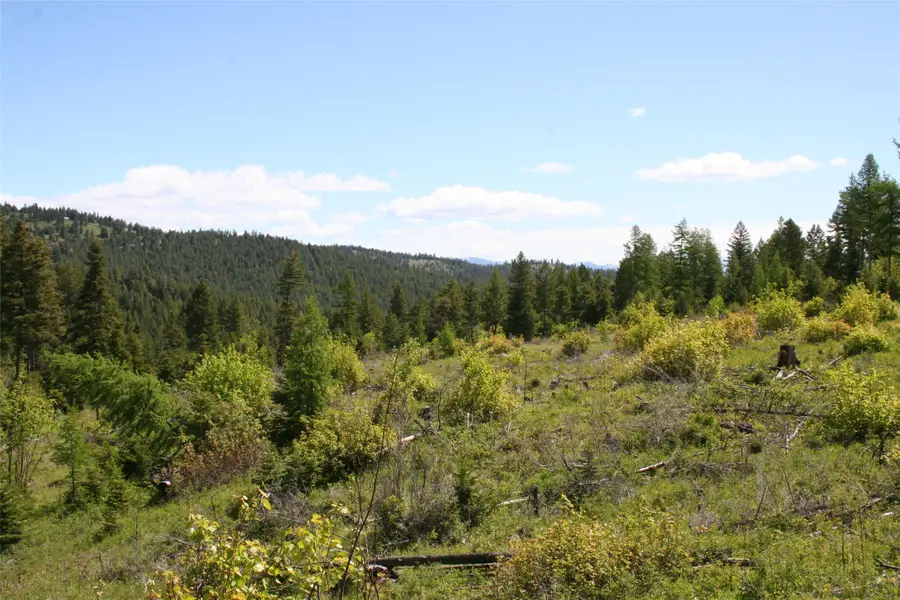 1450 Kienas Road, Kalispell, MT 59901 - #2