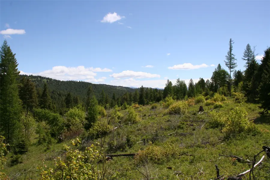 1450 Kienas Road, Kalispell, MT 59901 - #3