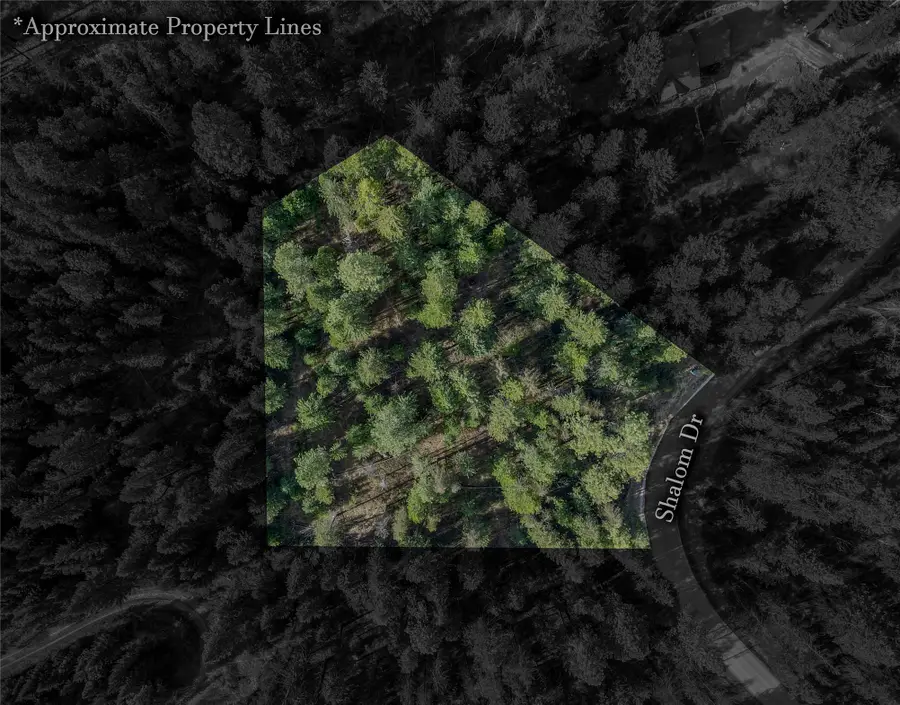 NHN Shalom Drive, Libby, MT 59923 - #3