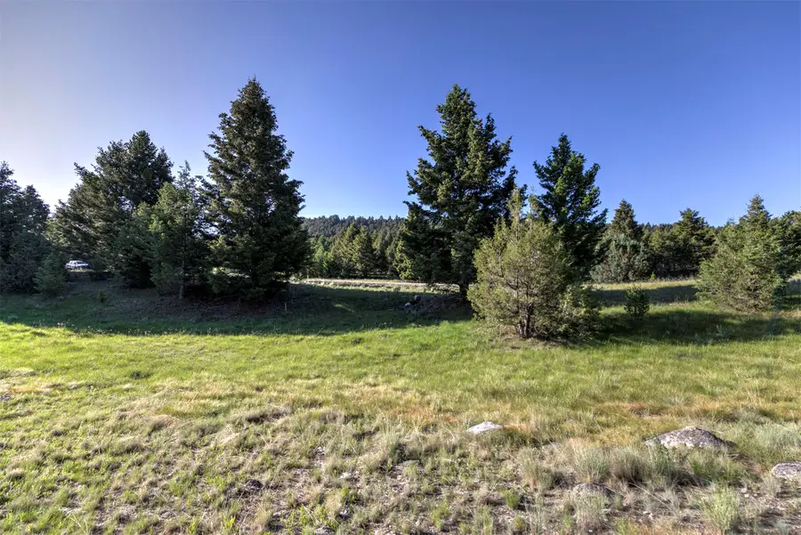NHN LOT 1 Phase 3A Dolus Lakes Road #Lot 1, Deer Lodge, MT 59722 - #3