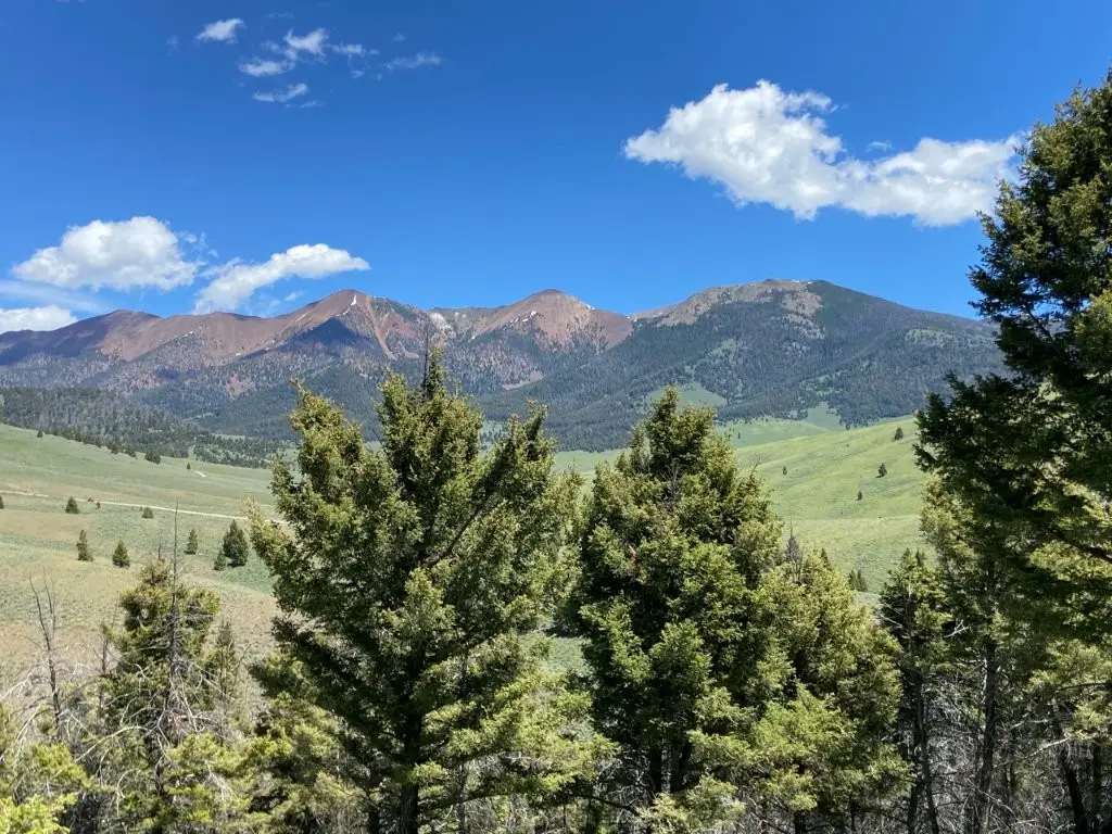 TBD Camp Creek Road, Melrose, MT 59743 - #1
