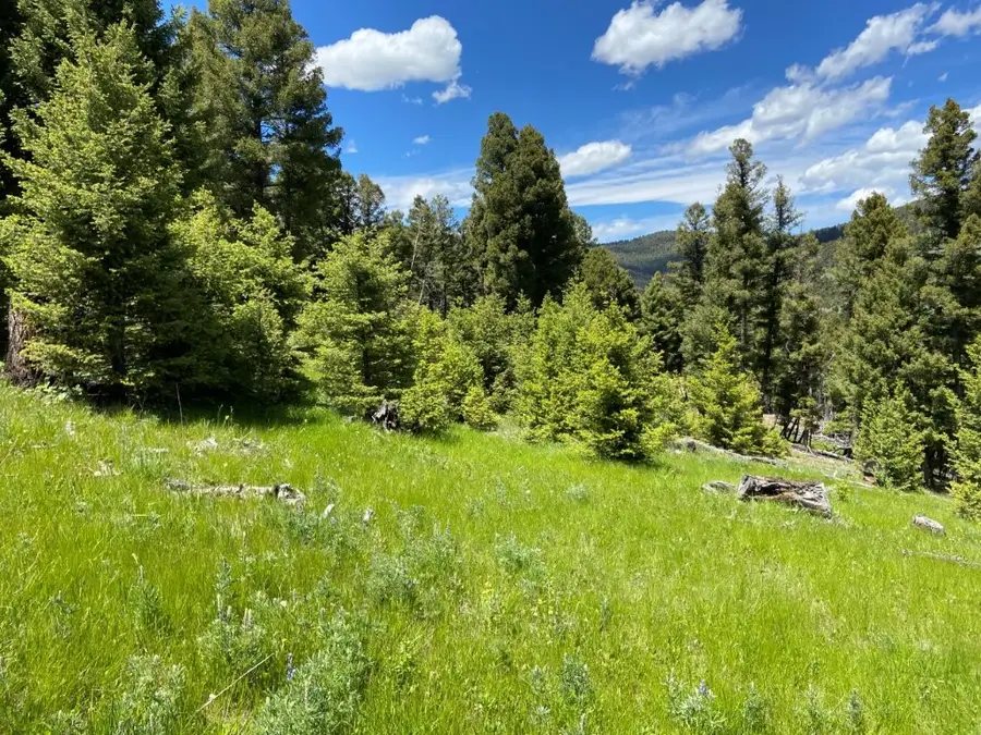 TBD Camp Creek Road, Melrose, MT 59743 - #3