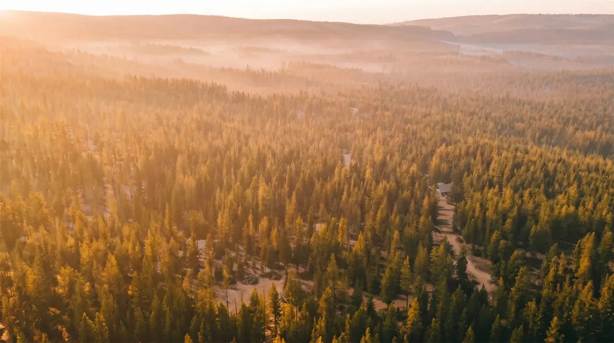 1350 Quaking Aspen Court, Rexford, MT 59930 - #1