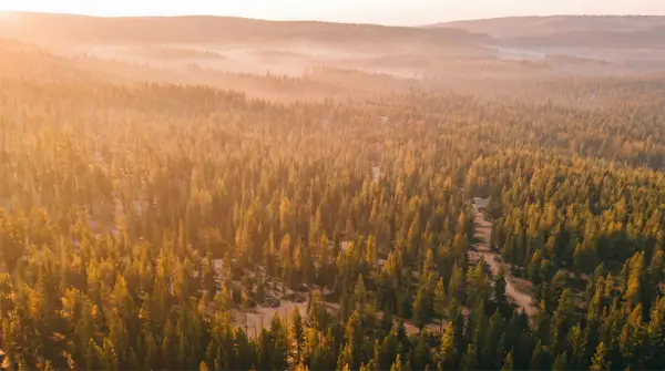 1350 Quaking Aspen Court, Rexford, MT 59930