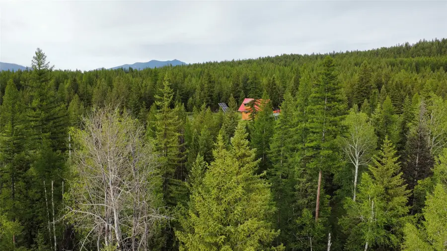 347 & 673 & NHN Soaring Eagle Trail, Fortine, MT 59918 - #2