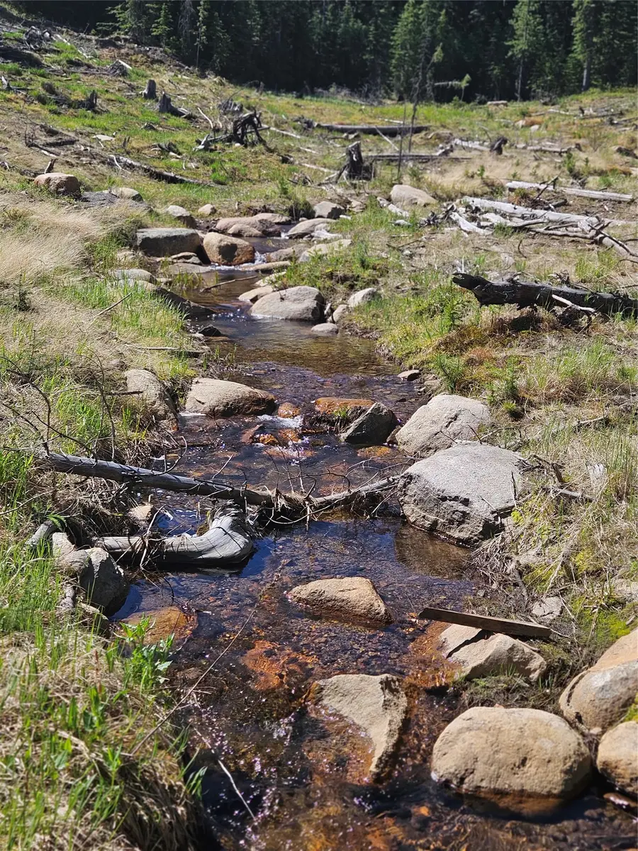 7524 Lower Telegraph Creek Road, Elliston, MT 59728 - #2