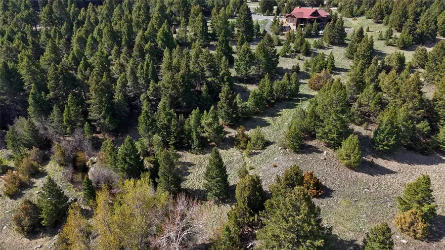 Nhn Lot 28 Phase 3 Dolus Lakes Road #28, Deer Lodge, MT 59722 - #2