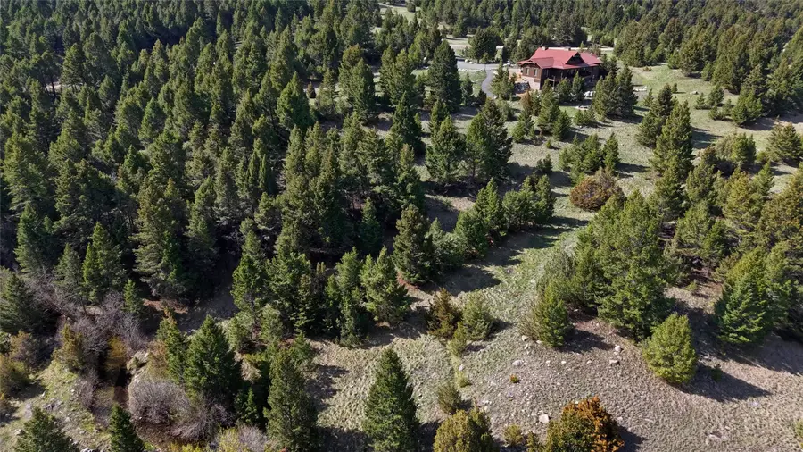 Nhn Lot 28 Phase 3 Dolus Lakes Road #28, Deer Lodge, MT 59722 - #3