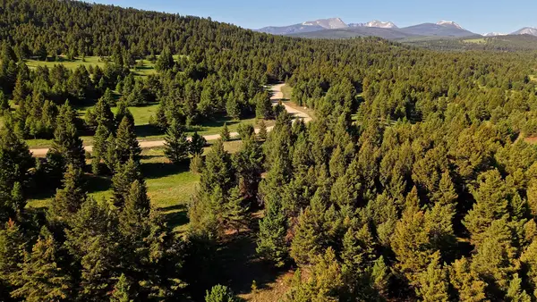 NHN Lot 2 Phase 3A Dolus Lakes Road #Lot 2, Deer Lodge, MT 59722