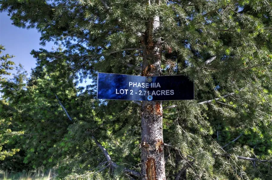 NHN Lot 2 Phase 3A Dolus Lakes Road #Lot 2, Deer Lodge, MT 59722 - #3