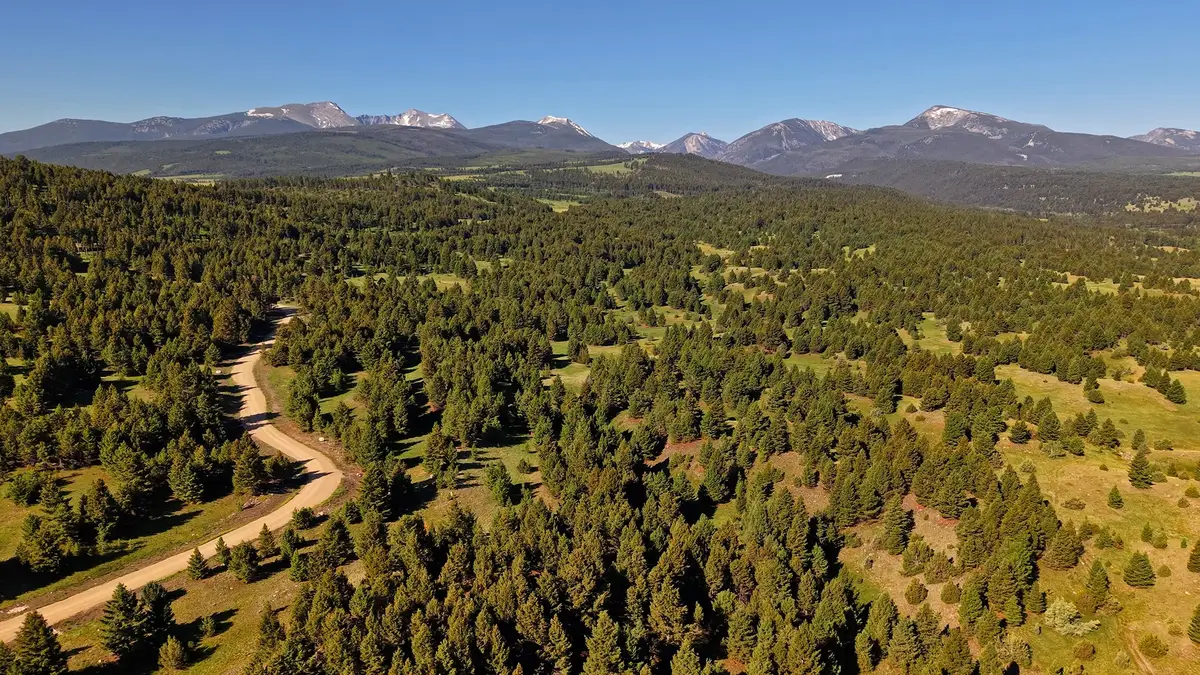 NHN Lot 3 Phase 3A Dolus Lakes Road #Lot 3, Deer Lodge, MT 59722 - #1