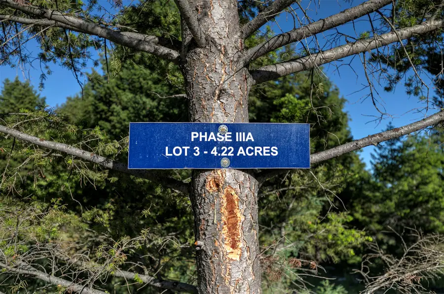 NHN Lot 3 Phase 3A Dolus Lakes Road #Lot 3, Deer Lodge, MT 59722 - #3