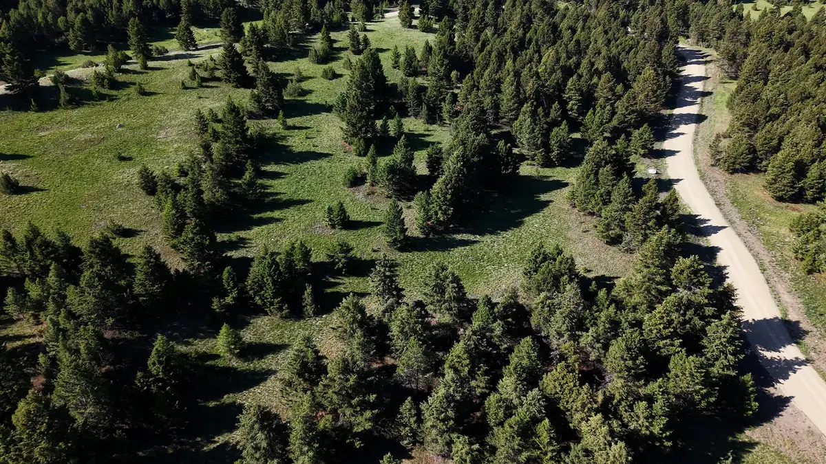 NHN Lot 6 Phase 3A Dolus Lake Road #Lot 6, Deer Lodge, MT 59722 - #1