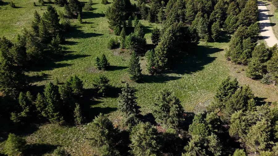 NHN Lot 6 Phase 3A Dolus Lake Road #Lot 6, Deer Lodge, MT 59722 - #3