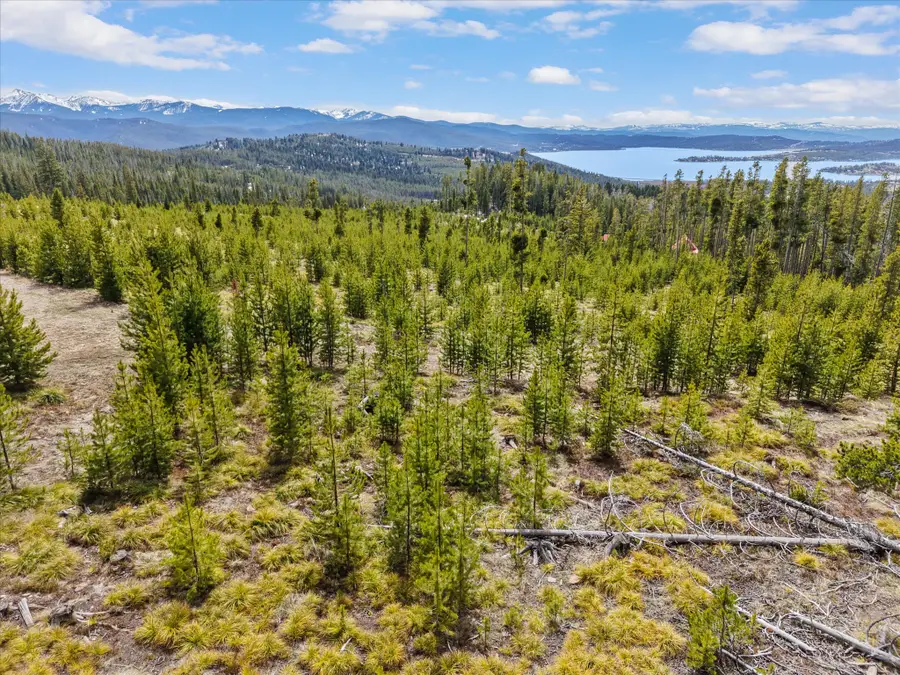 676 Ore Loop, Anaconda, MT 59711 - #3