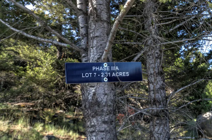 NHN Lot 7 Phase 3A Dolus Lakes Road #Lot 7, Deer Lodge, MT 59722 - #3