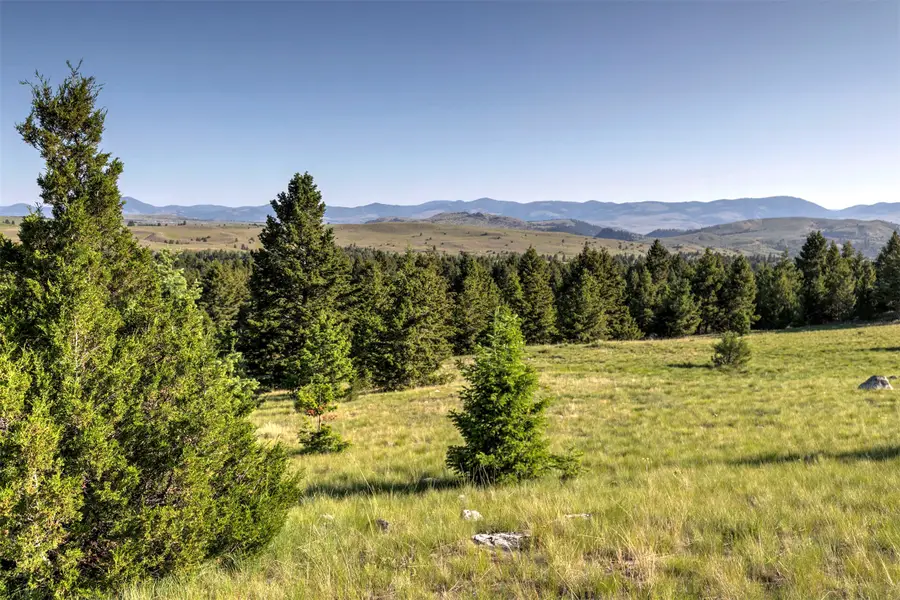 NHN Lot 8 Phase 3A Dolus Lakes Road, Deer Lodge, MT 59722 - #3