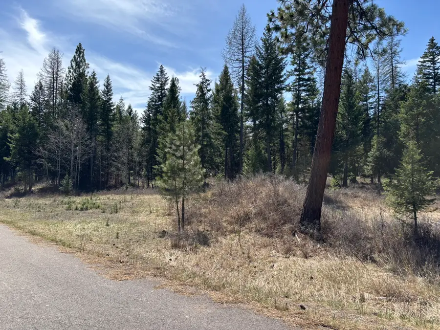 238 Haskill Ranch Road #Lot-1, Kila, MT 59920 - #3