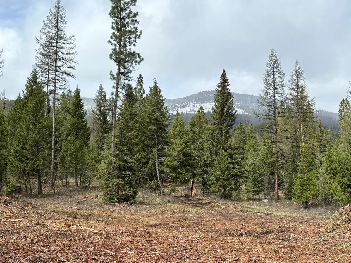 301 Haskill Ranch Road #Lot 37, Kila, MT 59920 - #1