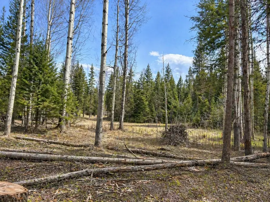 80 Blaney Lane #Lot-31, Kila, MT 59920 - #3