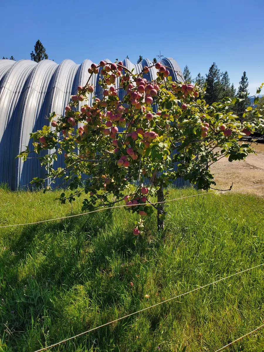 575 S Rolling Hills Road, Eureka, MT 59917 - #3