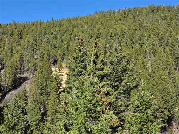 TBD Little Blackfoot Rvr Little Blackfoot River Road, Elliston, MT 59728