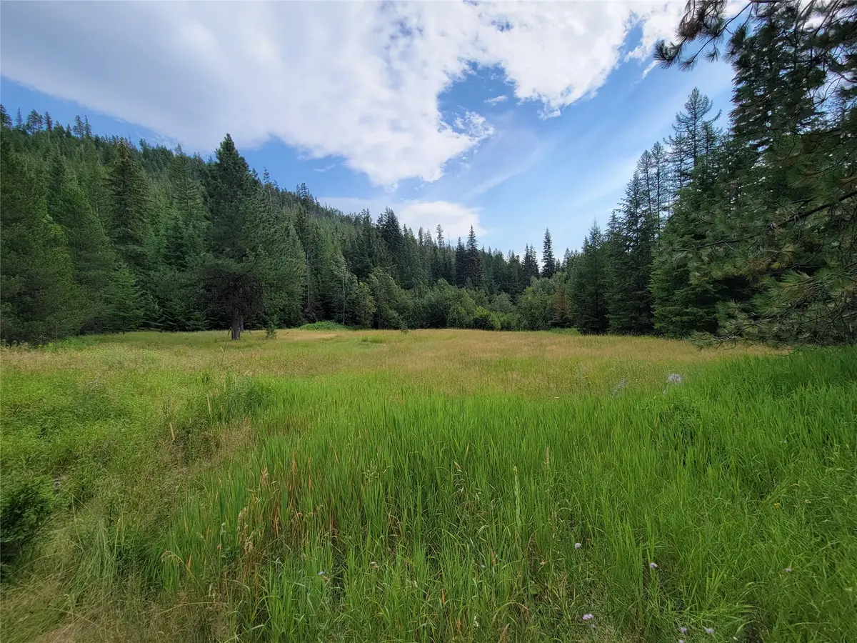 1980 Rabbit Creek Road, Troy, MT 59935 - #1