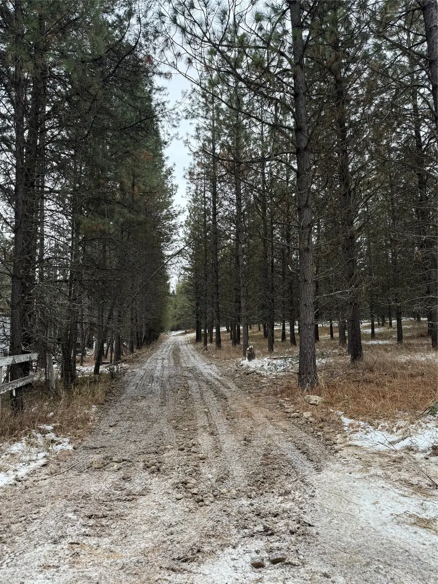 131 Break Road, Libby, MT 59923 - #3