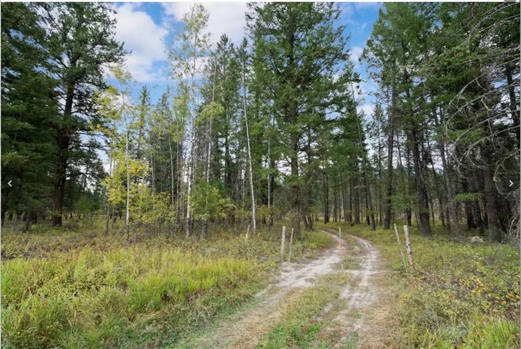 0000 Hwy 93, Fortine, MT 59918 - #1