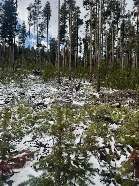 Lot 30 Park Road, Philipsburg, MT 59858