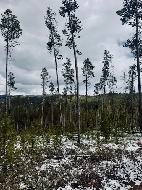 Lot 30 Park Road, Philipsburg, MT 59858 - #2