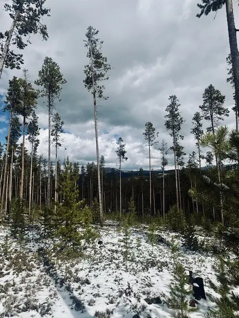 Lot 30 Park Road, Philipsburg, MT 59858 - #3
