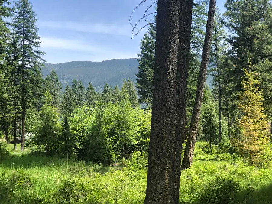 56 Wood Ridge Drive, Columbia Falls, MT 59912 - #3