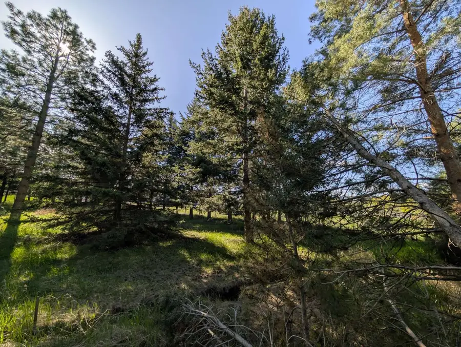 117 Northwest Lane #B, Kalispell, MT 59901 - #3