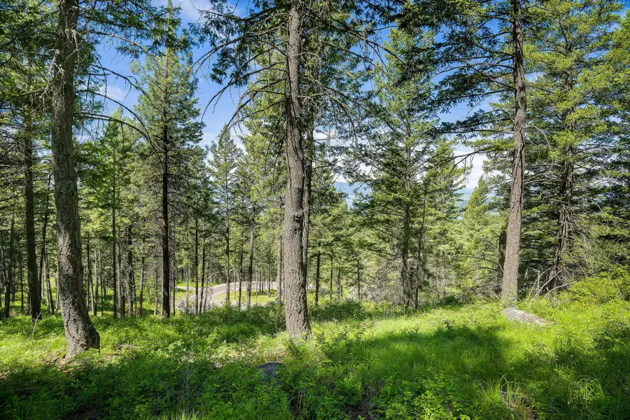 345 Chief Cliff Trail, Bigfork, MT 59911 - #2